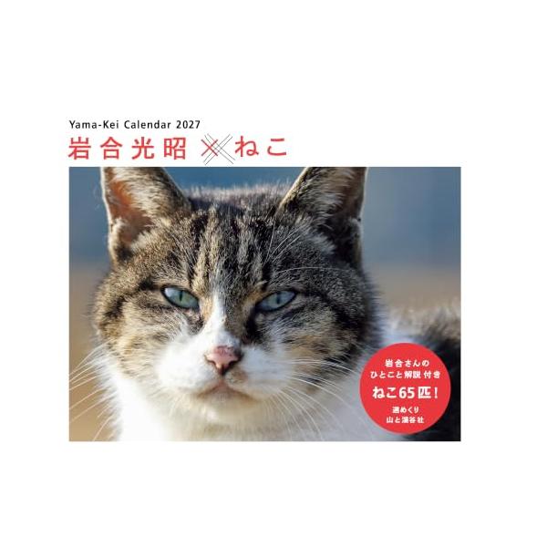 カレンダー2027 岩合光昭×ねこ週めくり/卓上・リング/猫 風景 ヤマケイカレンダー2027