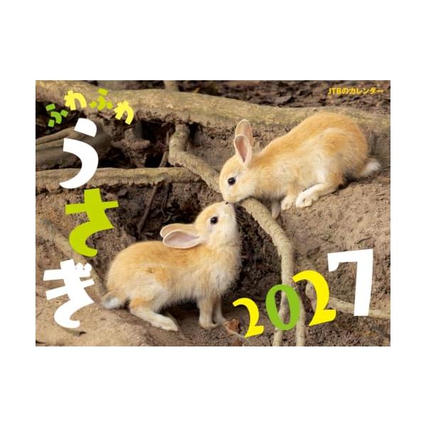 JTBのカレンダーふわふわうさぎ 2027壁掛け/月めくり/動物 カレンダー2027