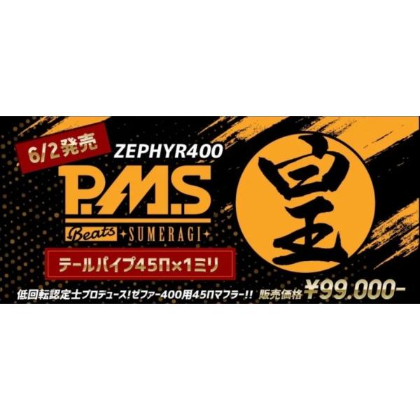 KAWASAKI ゼファー400/χ PMS 皇 鍍金 : PRETTYRACING Yahoo