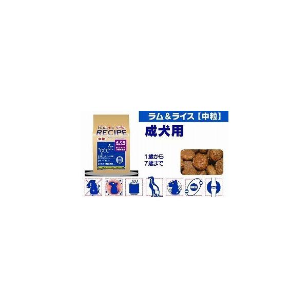 他サイト： ホリスティックレセピー ラム＆ライス 中粒 成犬用 800g ドッグフードの商品画像