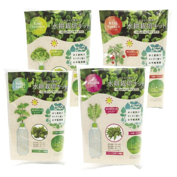 ペットボトル水耕栽培キット 1p 色 柄指定不可 Bf プリティウーマン 通販 Yahoo ショッピング