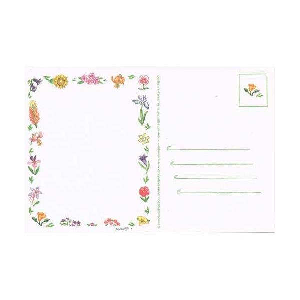 tHg|Xg Cht[ 4 966 C|[g Ai AJ ʐ^ H fR 莆 |XgJ[h