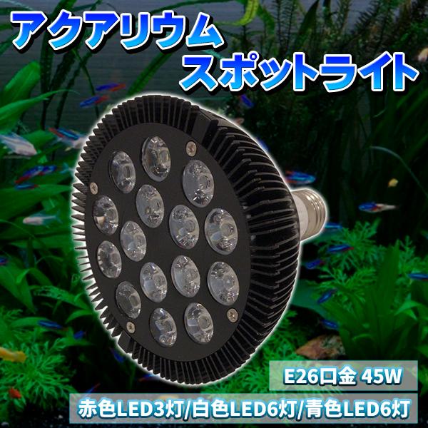 水槽用照明 led スポットライト - 水槽用照明の人気商品・通販・価格比較 - 価格.com 水槽用照明 led スポットライト - 水槽用照明の人気商品・通販・価格比較 - 価格.com