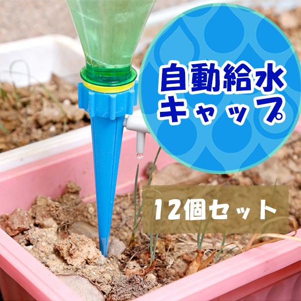 自動給水キャップ 12個セット じょうろ ペットボトル 自動水やり器 水やり当番 自動給水器 自動散水 ガーデニング 園芸 花壇 植物 花 盆栽 自動