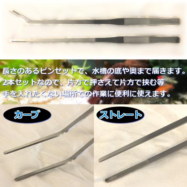 �����O�s���Z�b�g 48 cm 2 �{ �Z�b�g �A�N�A���E�� ���� ADA���� �g���~���O �p�i �C���� �W���� �X�e�����X ���� �|�� �����e�i���X ���i�摜1