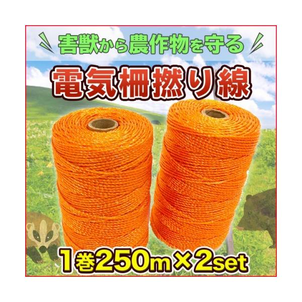 dCQ 12 250m Qb h dCq dq d p[tFX C[[v