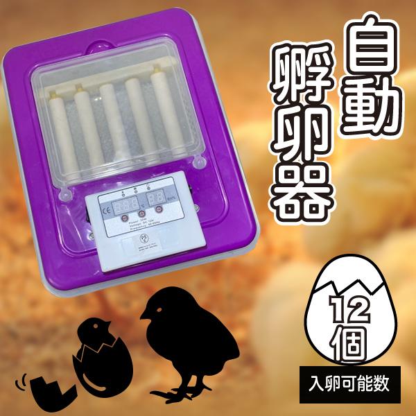 全自動孵卵器 12個 ニワトリ 孵卵 ふ卵 孵化 ふ化 器 機 装置 全自動孵卵器 12個 ニワトリ 孵卵 ふ卵 孵化 ふ化 器 機 装置