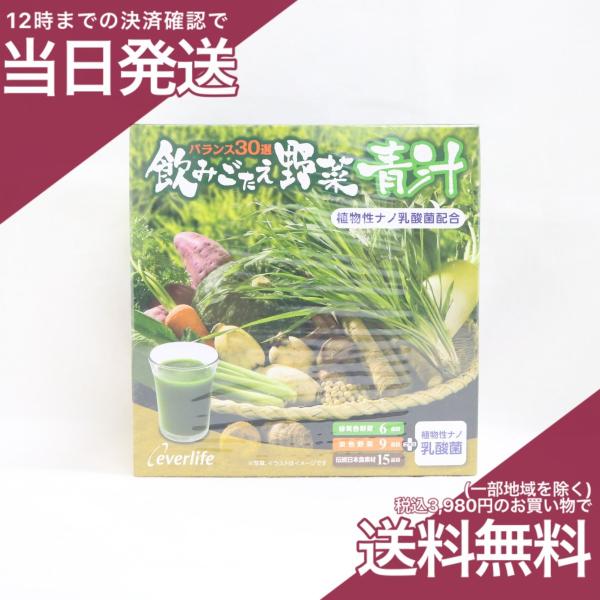 Everlife 飲みごたえ野菜青汁 60包✕2箱 賞味期限2026.11 飲みごたえ