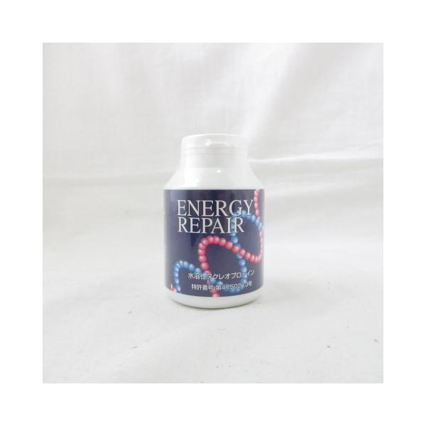 期限2026年1月28日〜29日) ファイナルフューチャー Energy Repair