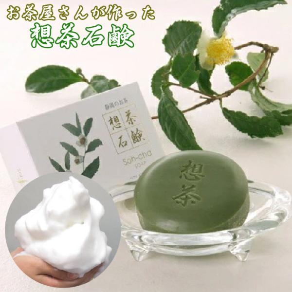 񂪍 zΌ 100g h VRA Ό I[KjbN Aălbgt Ō`Ό Mtg v[g lbgt