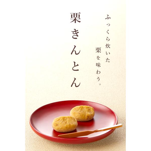 primedirect_2085200_1_d_20251021130948