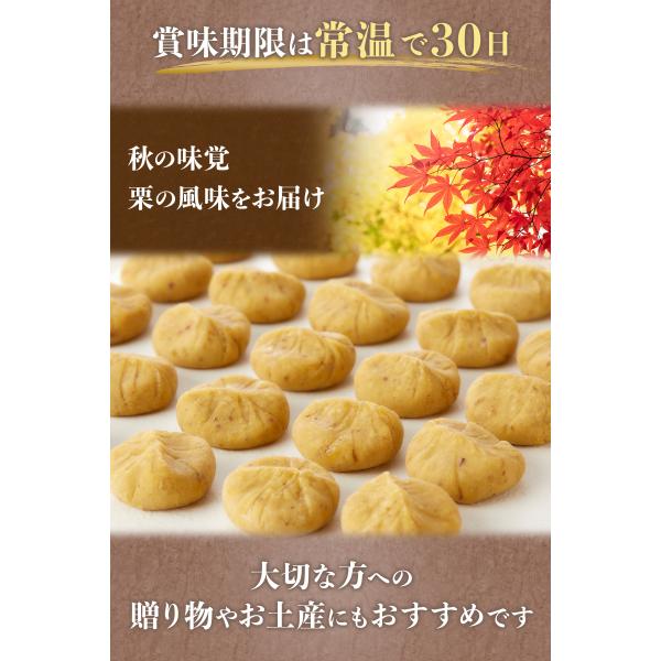 primedirect_2085200_4_d_20251021130948