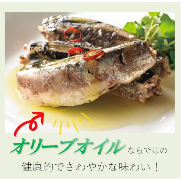 primedirect_2636200206_1_d_20231020103033