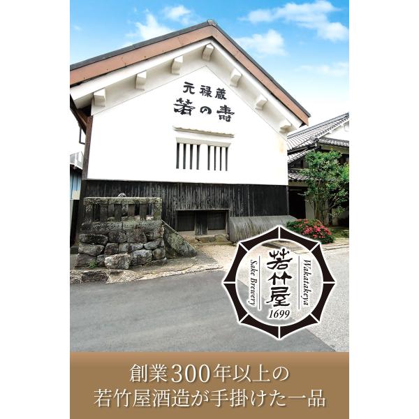 primedirect_2867200203_2_d_20250205110447