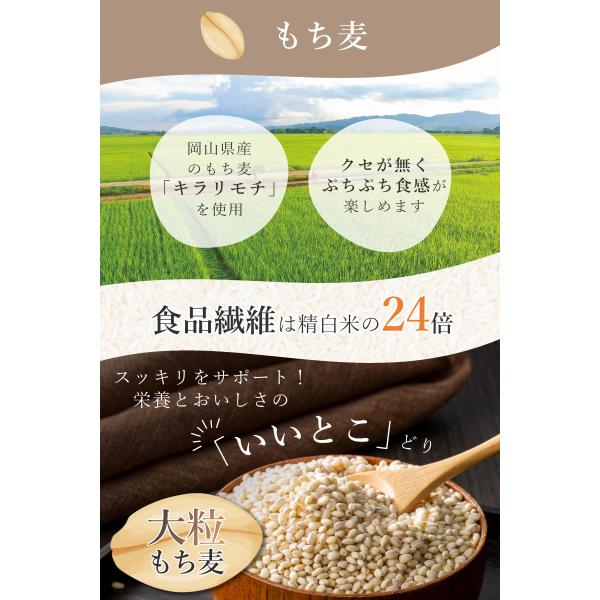 primedirect_2977100_6_d_20250423142337