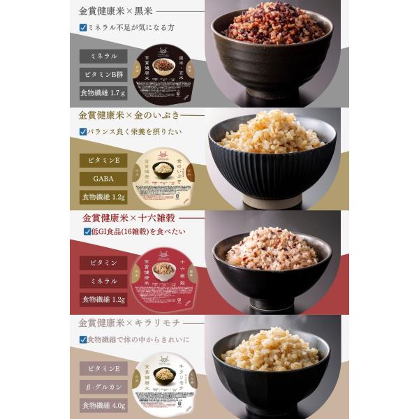 primedirect_2977110_2_d_20241212162539