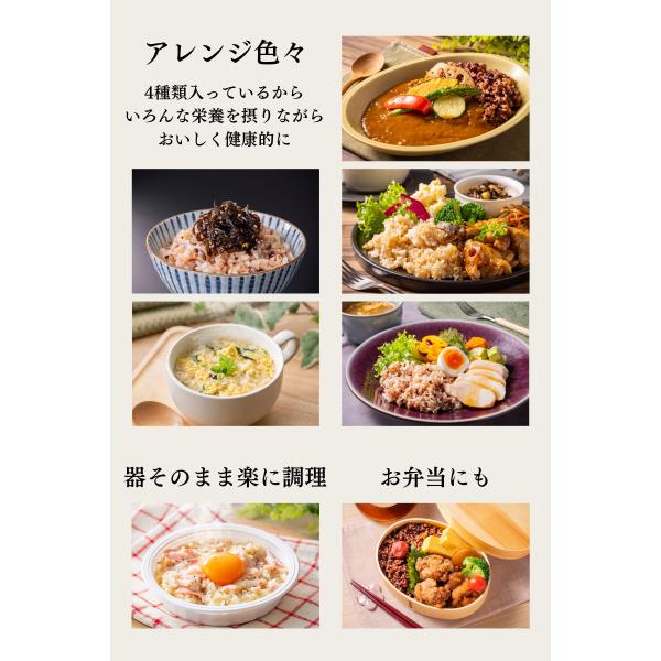 primedirect_2977110_3_d_20241212162555