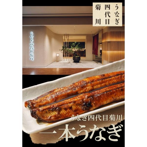 primedirect_3007002_2_d_20250130143335