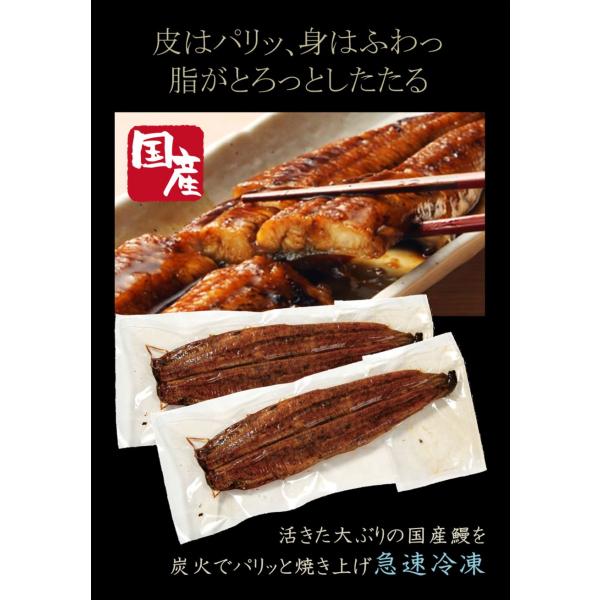 primedirect_3007002_3_d_20250130143335