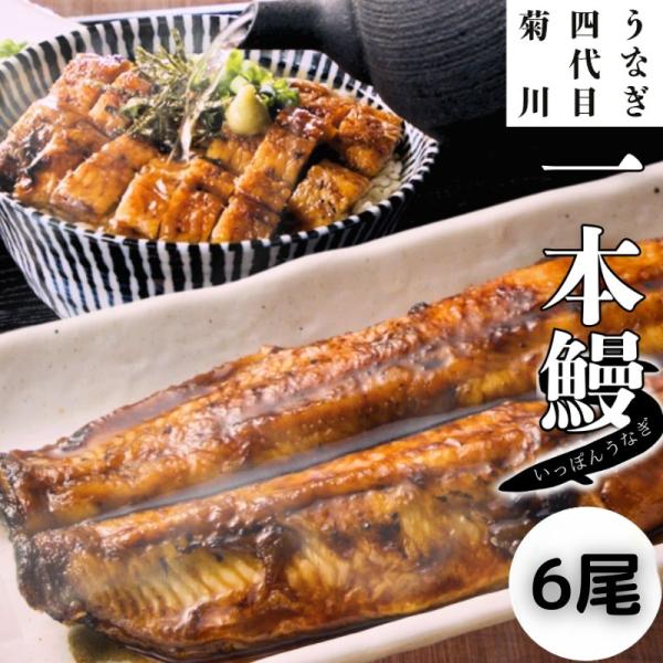国産うなぎ 2尾 地焼き 贈答品 うなぎ四代目菊川 一本うなぎ 肉厚 秘伝のタレ お土産 取寄せ ギフト 冷凍 土用丑 土用の丑の日 手土産 うなぎ