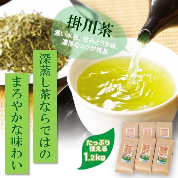 primedirect_5063_4_d_20231120184832