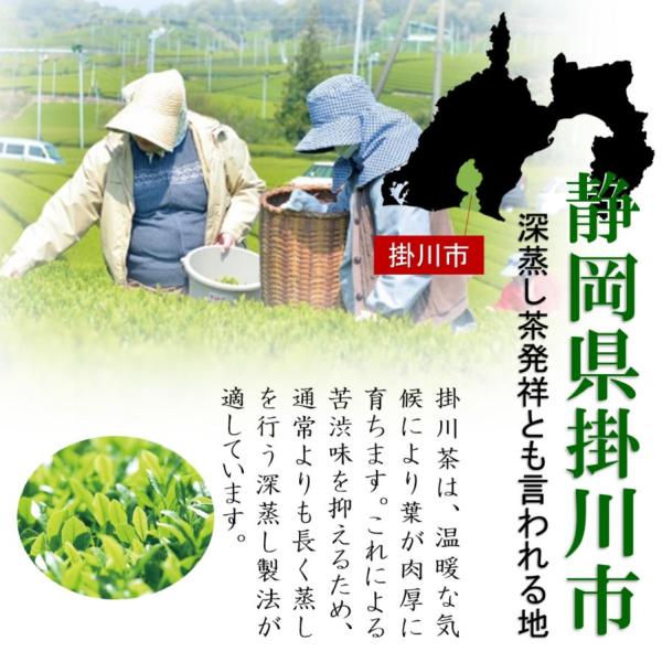 primedirect_5063_5_d_20231120184837