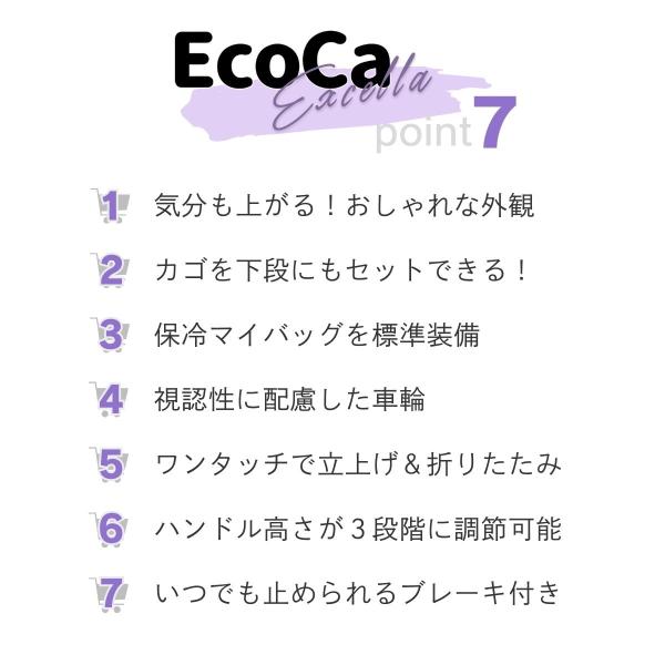 primedirect_ece010s_2_d_20241024174946