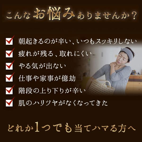 primedirect_gh10_1