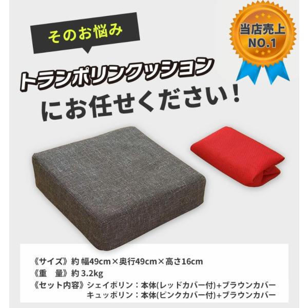 primedirect_ls13_3_d_20240919163856