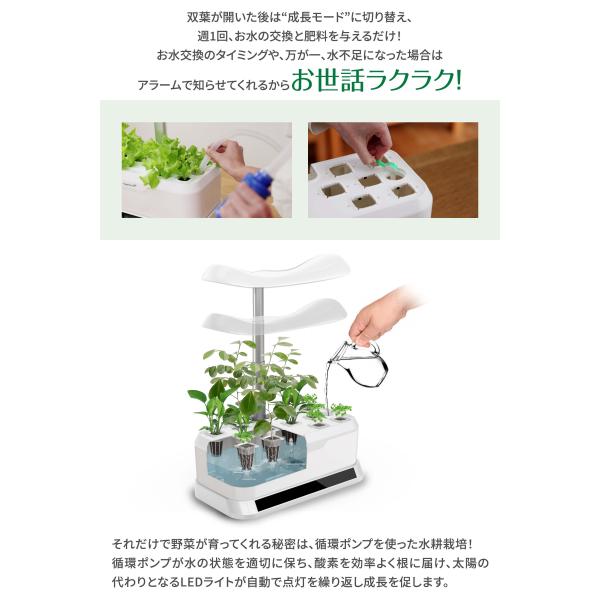 primedirect_vh02_2_d_20230605095721