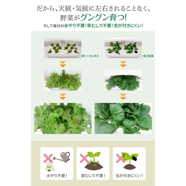 primedirect_vh02_3_d_20230605095819