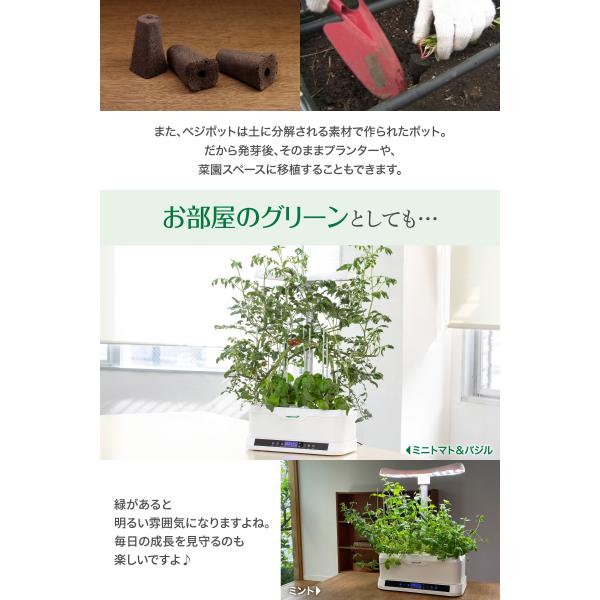 primedirect_vh02_4_d_20230705134110