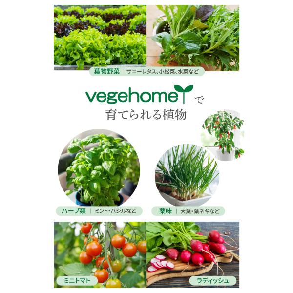 primedirect_vh02_5_d_20230605095832