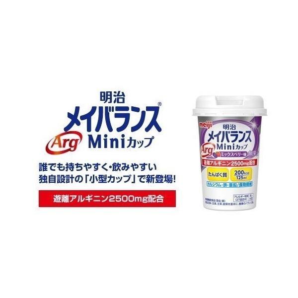  H CoX Arg MiniJbv ~bNXx[ 1415057 125ml×48{