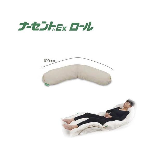 i[ZgEx [ 100 ACE\lbNX NbV s[ h~ ̈ʕϊ