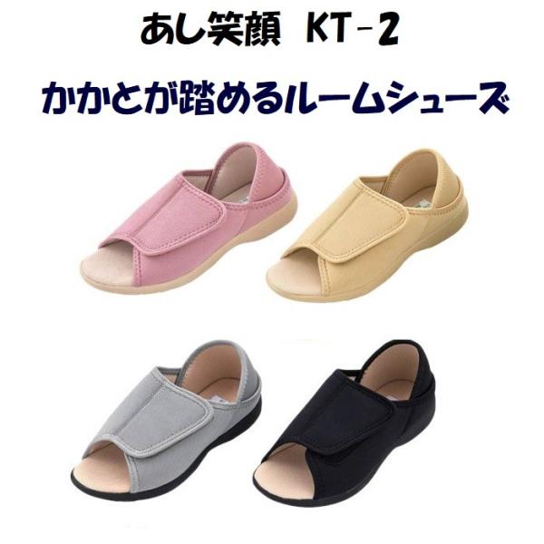 C  V[Y Ƃ߂郋[V[Y KT-2 _ːN