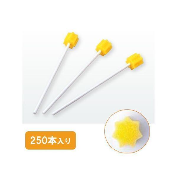 oPA X|W n~Obh 250{×8 MHG250 e  H