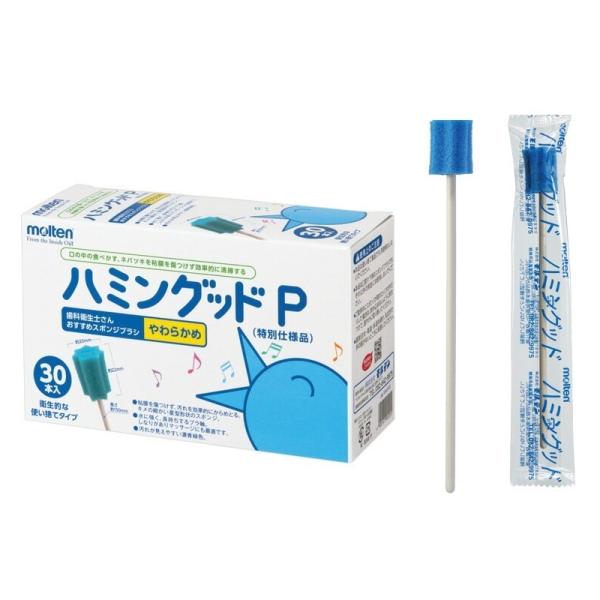 oPA X|W n~ObhP 30{×2 e MHGP30  H