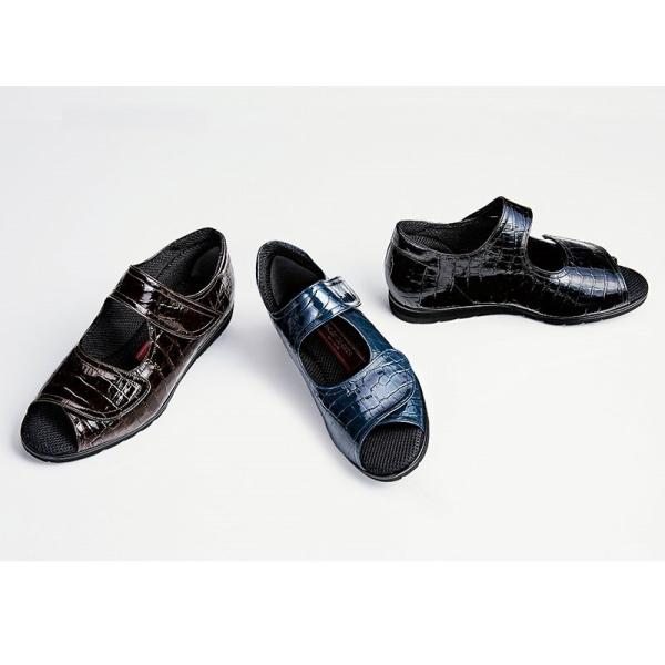 C fB[X L   T|[gV[Y SL9108 ThO[ 22.0`24.5cm 5E