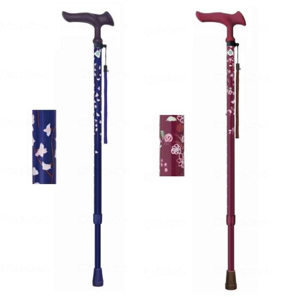  XebL Lk 邪t@II tWz[