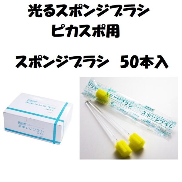 oPA X|W  X|WuV sJX|p X|WuV 50{×12 X351P07 xe