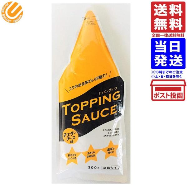 日本製粉 トッピングソース チェダーチーズ味 300g 業務タイプ 送料無料