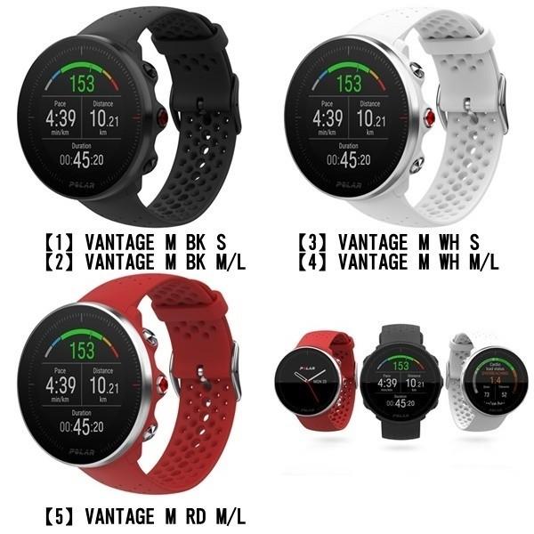 ポラール（POLAR） 選べる3カラー2サイズ 国内正規品 メンズ