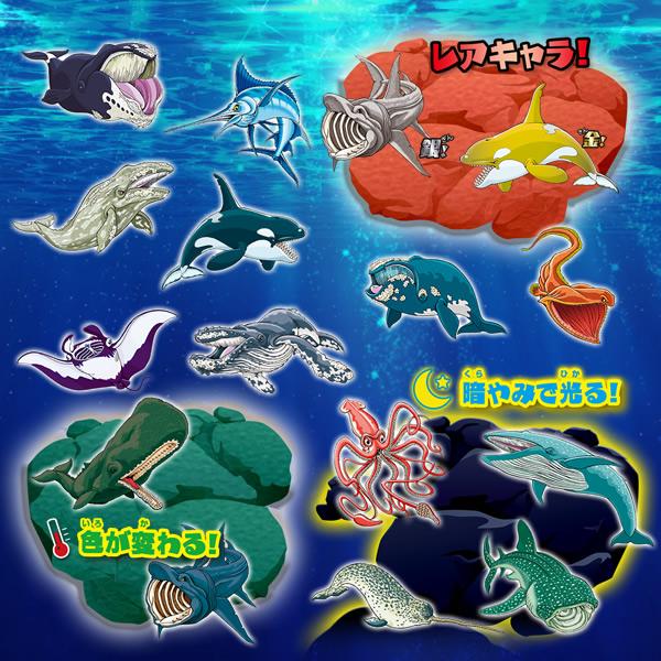 primeworldjp_whalesandco001_1_d_20221201231039