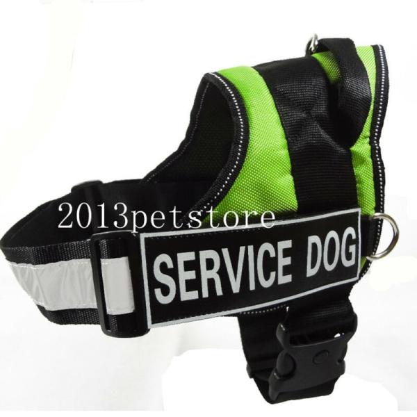 中型犬 首輪 犬 Harness Service 小型犬 Green Big 5 中型犬 リード 大型犬 わんこ ペット Patches Vest 首輪 Sizes Adjustable Dog ハーネス ドッグ Reflective Soft Dukcapil Gunungkidulkab Go Id