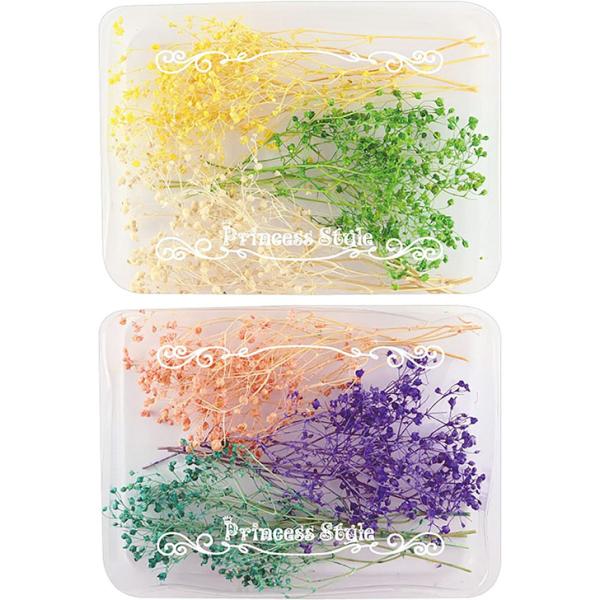 かすみ草 ドライフラワー 小分け ハーバリウム 花材 ホワイト ライトピンク等 淡い色 6色 セット Buyee Buyee Japanese Proxy Service Buy From Japan Bot Online