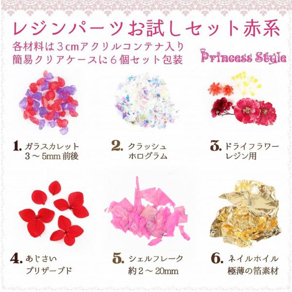 いちようさん様 レジン パーツセット レジンパーツ お試しセット 押し花 ドライフラワー シェル