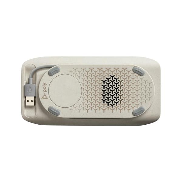 princetondirect_7s4c1aa_1_d_20260205081555