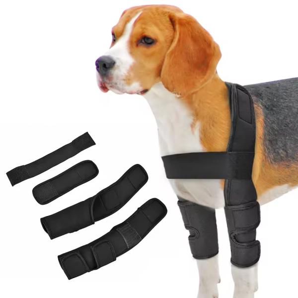 犬用の膝ブレース サポーター 前脚用　関節炎　痛み対策