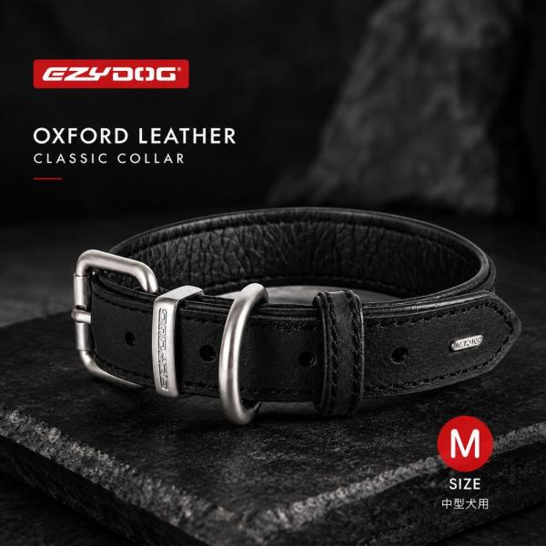 EZYDOG レザーカラー M サイズイージードッグ OXFORD LEATHER CLASSIC COLLAR |中型犬